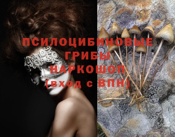 Альфа ПВП Алзамай