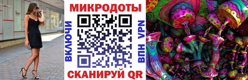 Купить Пустошка Галлюциногенные грибы MAGIC MUSHROOMS