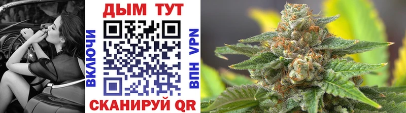 Купить где  Пустошка  Каннабис Bruce Banner 